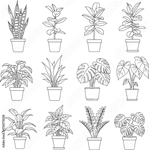 Isolated a kinds of deferent Flat vector Illustration of a foliage plant. indoor plants in pot line drawing, Minimal style, Side view vector art with white background..