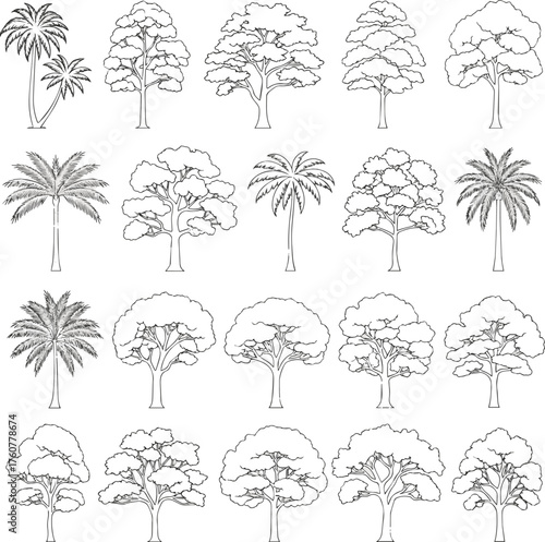 Isolated a kinds of deferent tree watercolor Minimal style tree painting hand drawn, Side view, set of graphics trees elements drawing for architecture and landscape design. Tropical vector art .