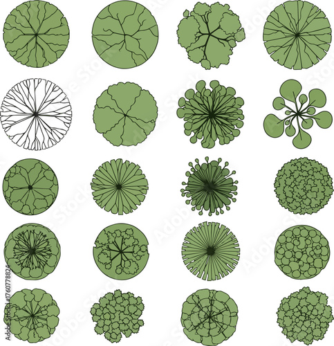 Isolated a kinds of deferent Vector tree top view isolated for landscape plan and architecture layout drawing, elements for environment and garden vector art with white background..