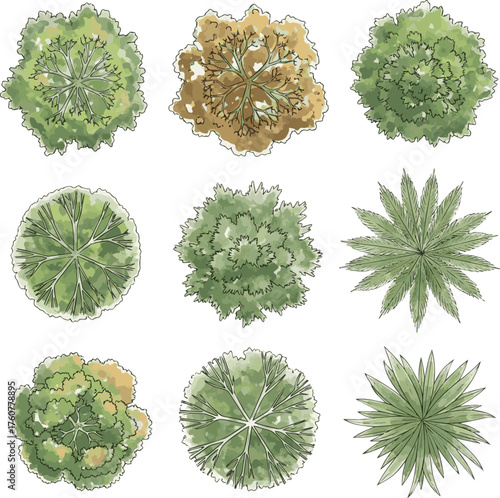 Isolated a kinds of deferent Vector tree top watercolor hand drawn view landscape plan and architecture layout drawing, elements for environment and garden vector art with white background.