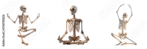 Three Skeletons Posing in Yoga and Dance isolated on a transparent background