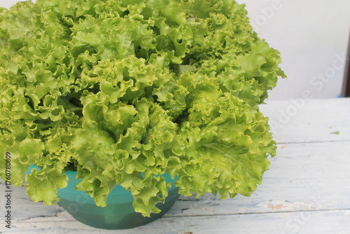 Lettuce is placed in a container filled with water to keep it fresh on a wooden table.