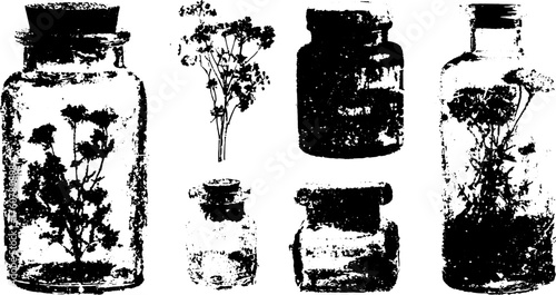 Vintage jars with flowers in engraving style. Black and white vector illustration set featuring botanical designs.