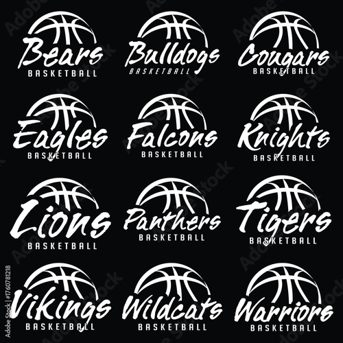 Basketball Team Graphics White Version is a great graphic for basketball teams. There are 12 designs that include a ball and text with the team name. Great for shirt designs, promotional products.