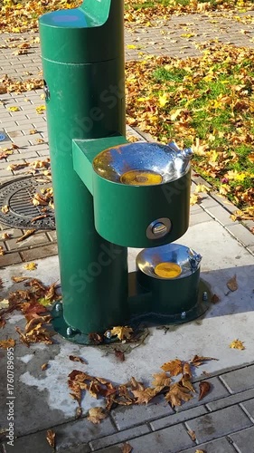 Birdhouses nest box colored aerie coop on stake pillar camera sliding flying vertical horizontal nature moving 