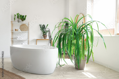 Interior of light bathroom ...