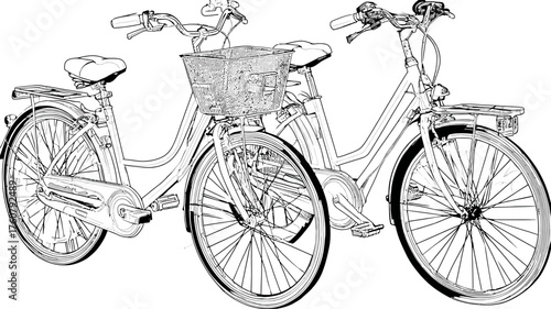 Two line art bicycles, vector drawing of vintage commuter bikes with basket for urban lifestyle and leisure travel illustration