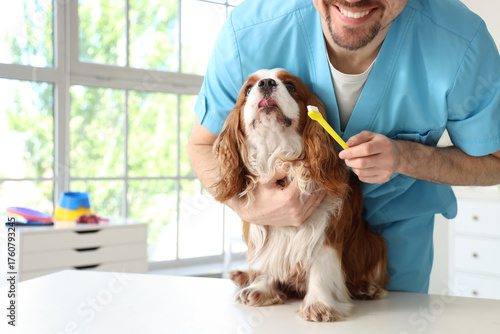 Male veterinarian with toot...