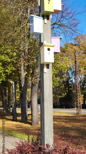 Birdhouses nest box colored aerie coop on stake pillar camera sliding flying vertical horizontal nature moving alive