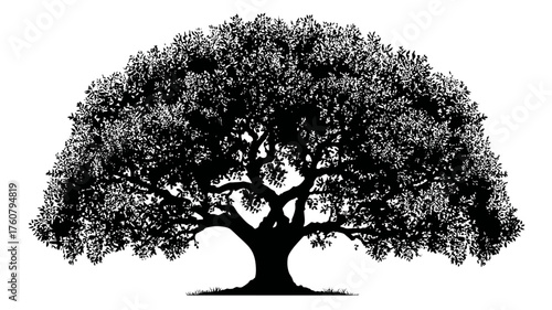 Detailed black silhouette of a majestic old tree with a broad, dense canopy. Symbol of nature, life, growth, strength, and ecological concepts.