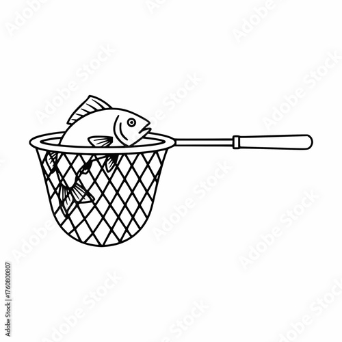 Fish caught in a net illustration in a minimalist style