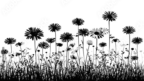 Black and white silhouette of a wild flower meadow with tall grass. Monochrome vector graphic illustration on a white background.