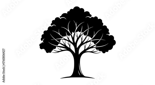 Illustrative Silhouette of a Mature Oak Tree with Intricate Branches