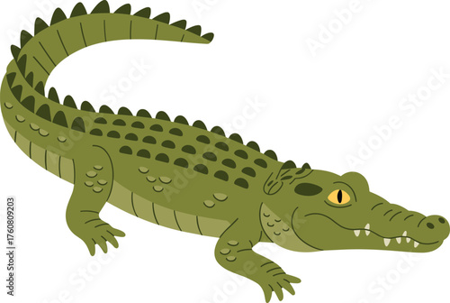 Green crocodile cartoon illustration in flat style, dangerous reptile lying on ground, wildlife animal character concept, vector design background