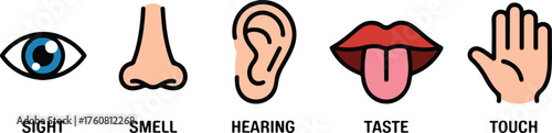 Five senses icons vision smell hearing taste touch
