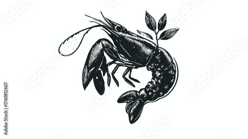 Detailed vintage engraved shrimp illustration with decorative leaves, seafood art, retro style marine life drawing for culinary design