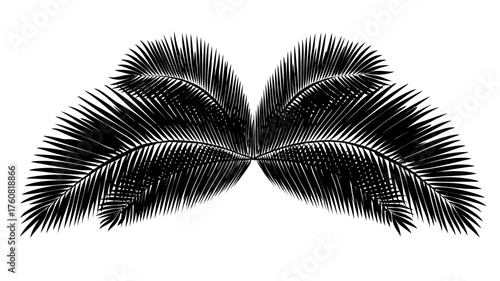 Symmetrical black palm fronds isolated on white, a tropical botanical graphic design element or silhouette icon