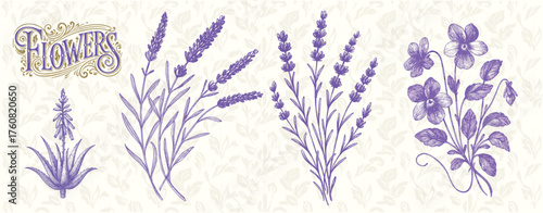 Purple Floral Engraving with Lavender and Violet Flowers