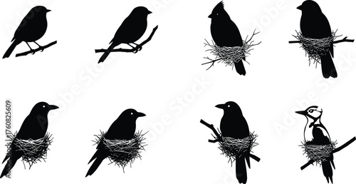 Bird silhouettes perched on branches, nesting birds vector set, wildlife illustration, black icons, nature clipart, avian design elements, isolated