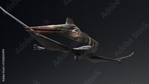 Wallpaper Mural Quetzalcoatlus of background. 3d model rendering Torontodigital.ca