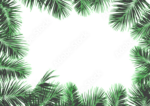 Dark green palm leaves frame a clean white center, creating a fresh, tropical border with high contrast and a natural, summery aesthetic.