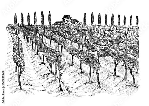 Vineyards With Rustic Farmhouse And High Trees On Horizont, Classic Countryside Italian landscapes Sketch Engraving Hand Draw Vector Illustration. Scratch Board. Black and White Image