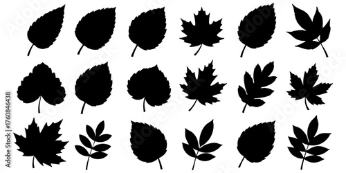 Collection of leaf silhouettes