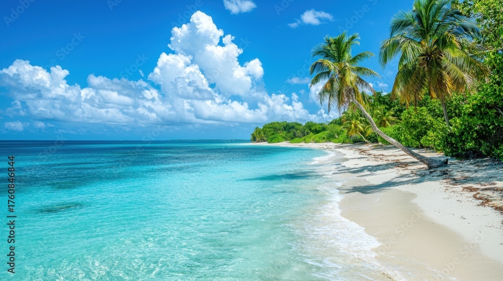 Naklejka premium Tropical Beach with Palm Trees and Turquoise Ocean Water Scene