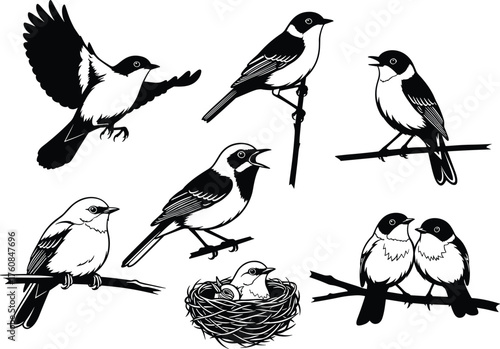 Wallpaper Mural Bird silhouette illustrations, perched flying nesting calling, black and white drawing, wildlife nature art flat vector Torontodigital.ca