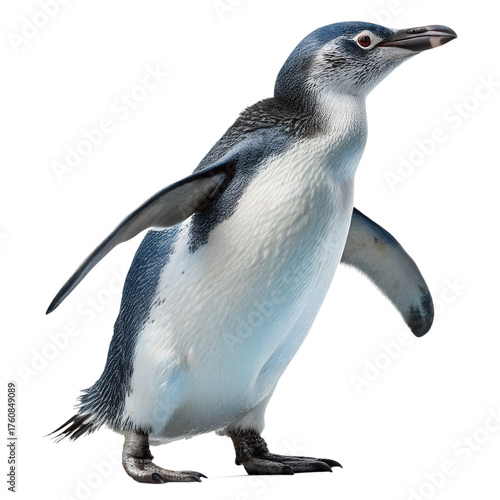 Adorable little penguin isolated on transparent background, showcasing its charming waddle and curious gaze in a delightful image