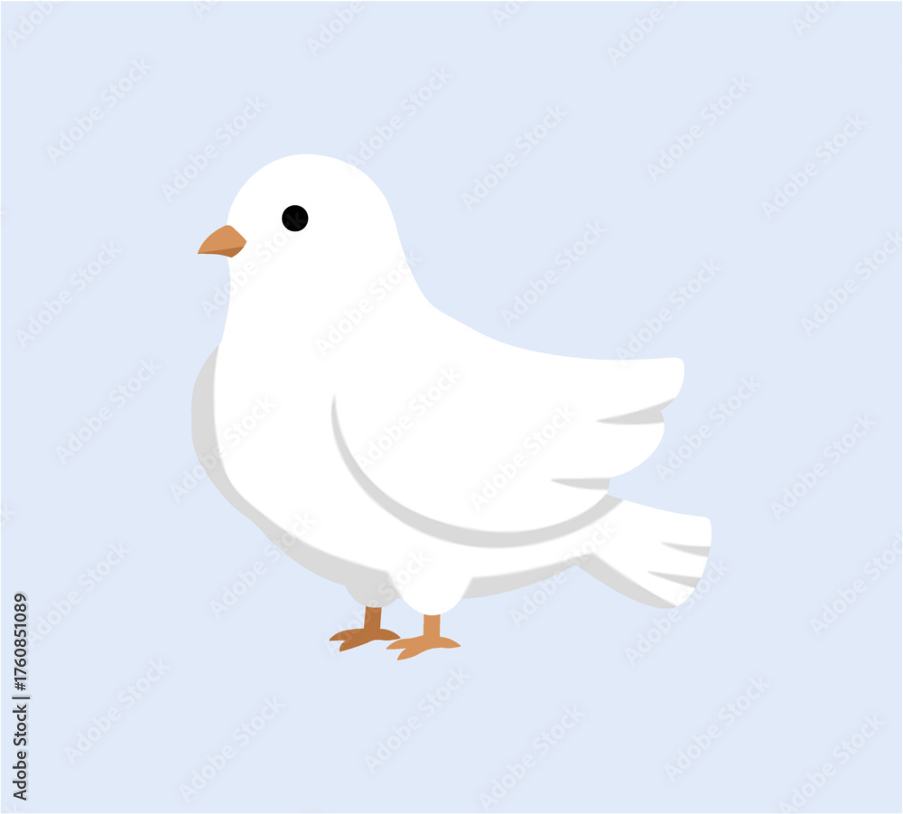 Obraz premium Cute White Dove