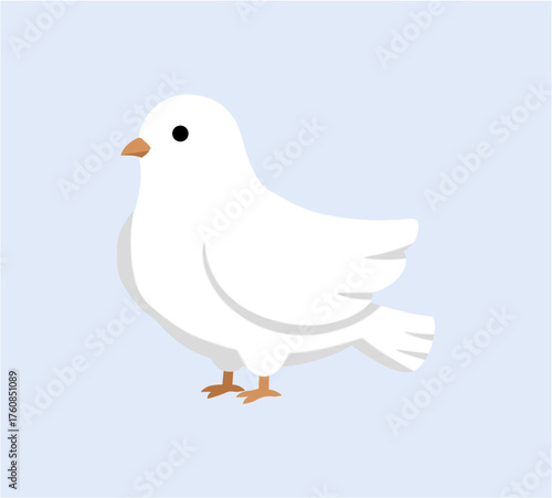 Cute White Dove