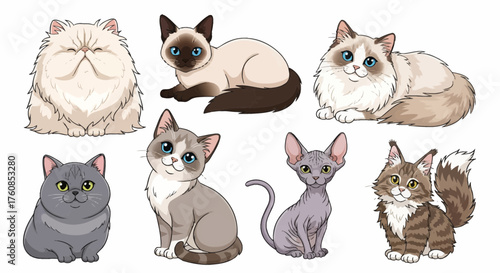 Charming cat breeds compilation featuring persian, siamese, ragdoll, british shorthair and sphynx