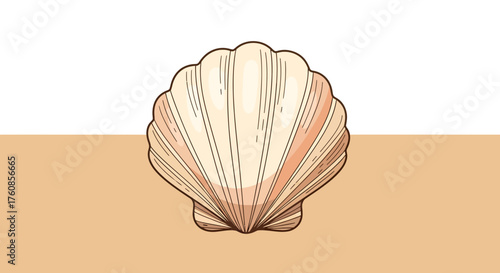 Isolated scallop seashell illustration with delicate linework and warm color palette background