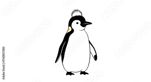 Minimalist penguin illustration standing upright isolated on white background vector drawing style