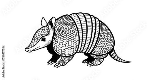 Monochromatic armadillo illustration showcasing intricate shell and textured design elements