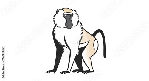 Stylized illustration of a male Hamadryas baboon with distinctive mane and long tail against a