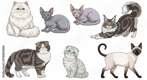 Variety of stylized feline breeds showcases diverse cat characteristics and charm