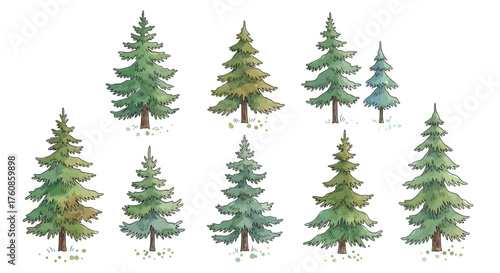 Watercolor evergreen trees scattered, illustrating a serene forest or festive season with artistic