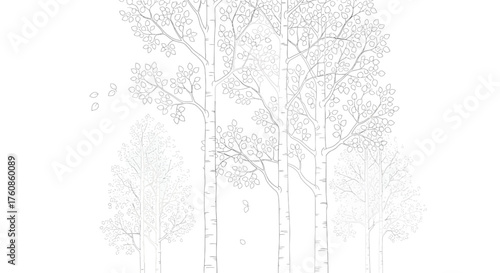 Minimalist birch tree line drawing with falling leaves illustration for elegant nature designs