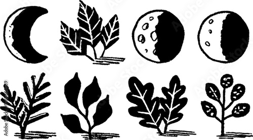 Leaf and moon vector illustration set. Black and white design featuring various plant shapes and lunar phases for a modern look.