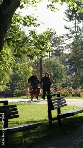 Couple walking hand in hand with Nova Scotia Duck Tolling Retriever in park alley with flowers. Front view outdoor lifestyle portrait. Vertical 4k footage