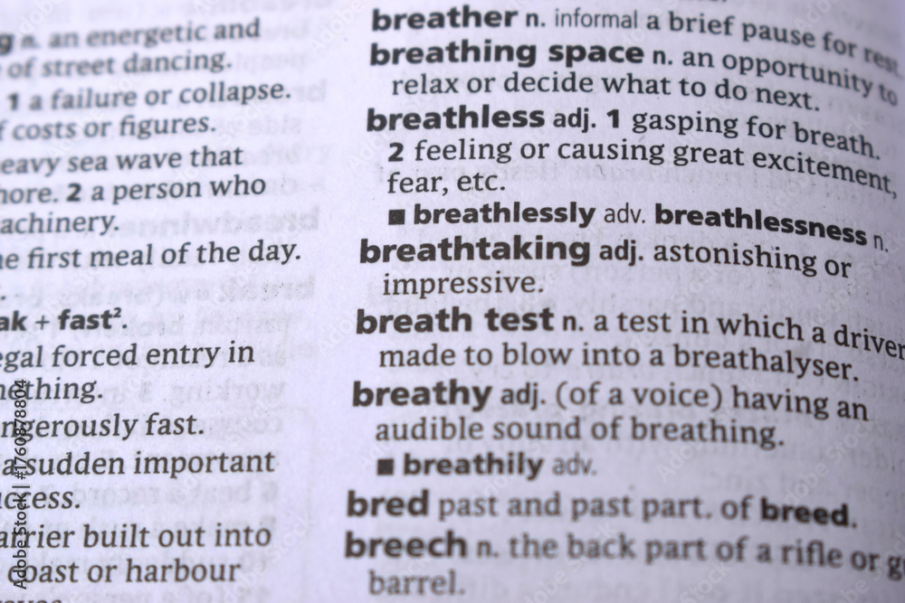 Fototapeta premium Close Up Of English Dictionary Page With Word - Breathtaking