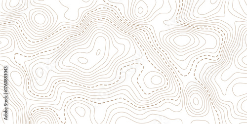 Topographic map pattern background vector. Abstract mountain terrain map background with abstract shape line texture. Design illustration for wall art, fabric, packaging, web, banner.