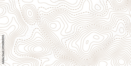 Topographic map pattern background vector. Abstract mountain terrain map background with abstract shape line texture. Design illustration for wall art, fabric, packaging, web, banner.