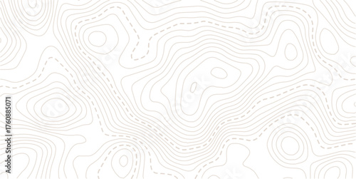 Topographic map pattern background vector. Abstract mountain terrain map background with abstract shape line texture. Design illustration for wall art, fabric, packaging, web, banner.