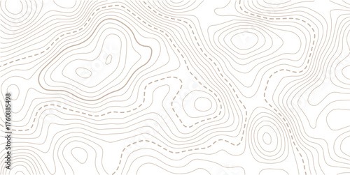 Topographic map pattern background vector. Abstract mountain terrain map background with abstract shape line texture. Design illustration for wall art, fabric, packaging, web, banner.