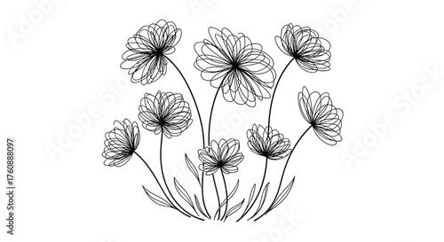 A delicate cluster of poppy flowers bloom in a meadow.