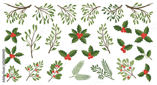 Set of Christmas holiday botanical elements for design