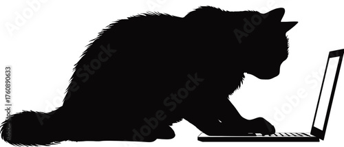 A fluffy cat silhouette intently using a laptop computer on a white background